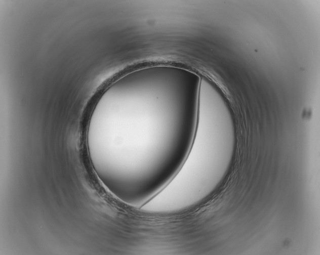X0000092220724200709140921