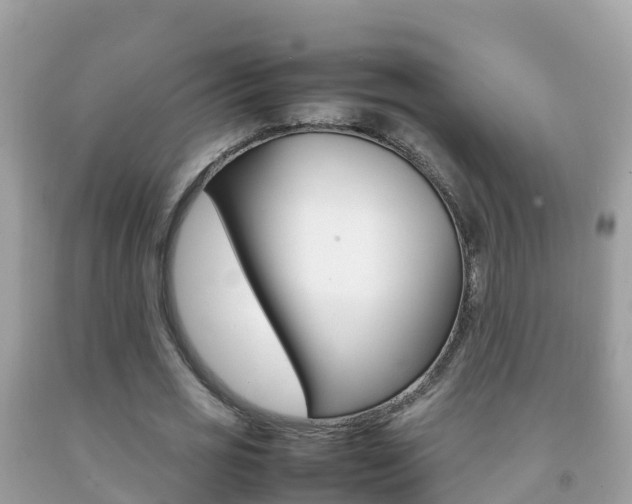 X0000092220725200709140921
