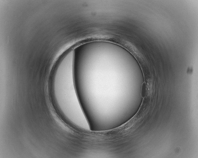 X0000092220726200709140921