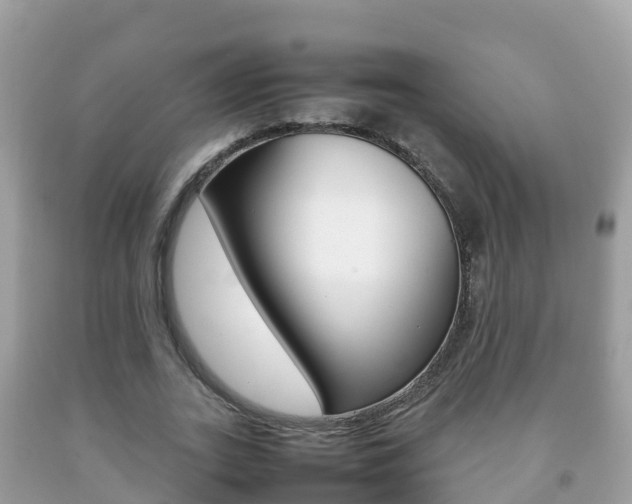 X0000092220727200709140921