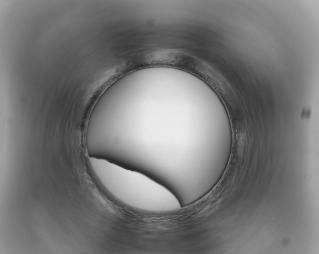 X0000092220729200709140921