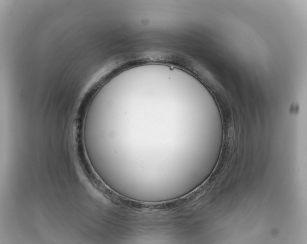 X0000092220730200709140921