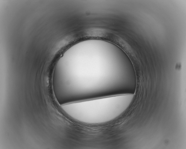 X0000092220731200709140921