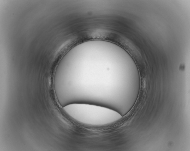 X0000092220733200709140921