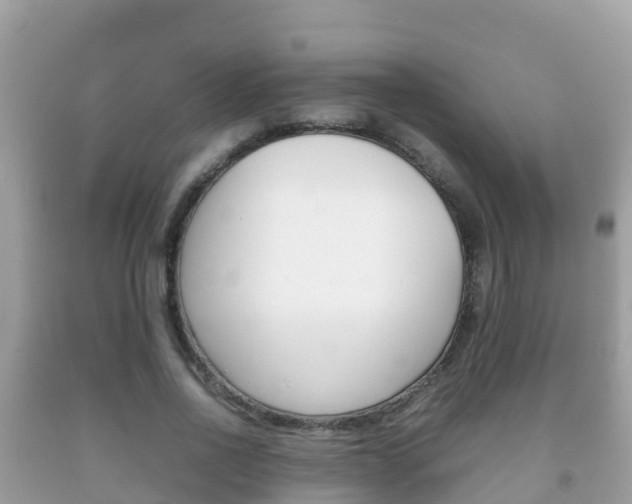 X0000092220734200709140921
