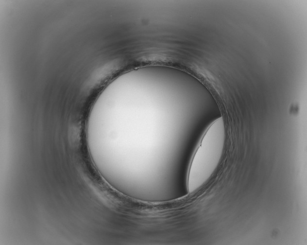 X0000092220735200709140921