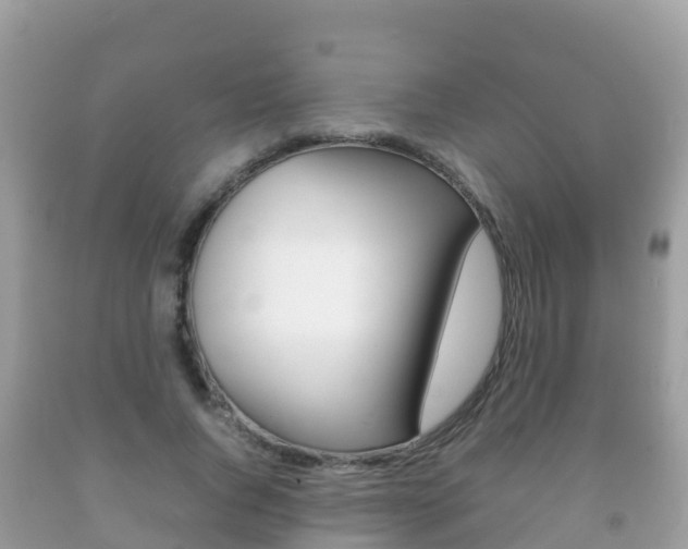 X0000092220736200709140921
