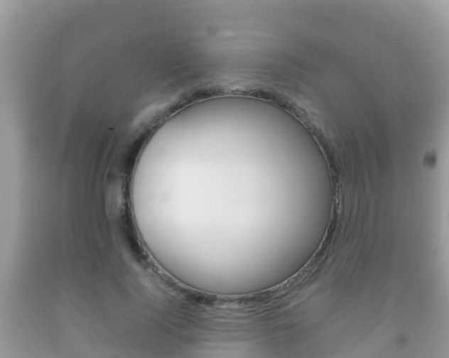 X0000092220740200709140921