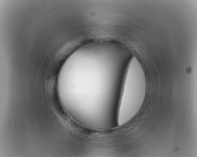 X0000092220742200709140921