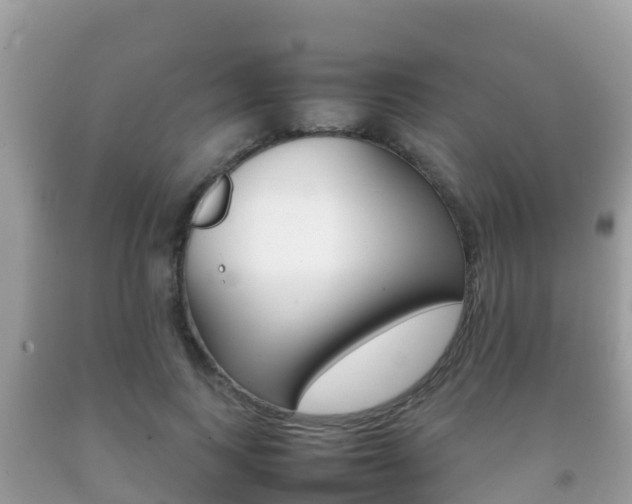 X0000092220743200709140921