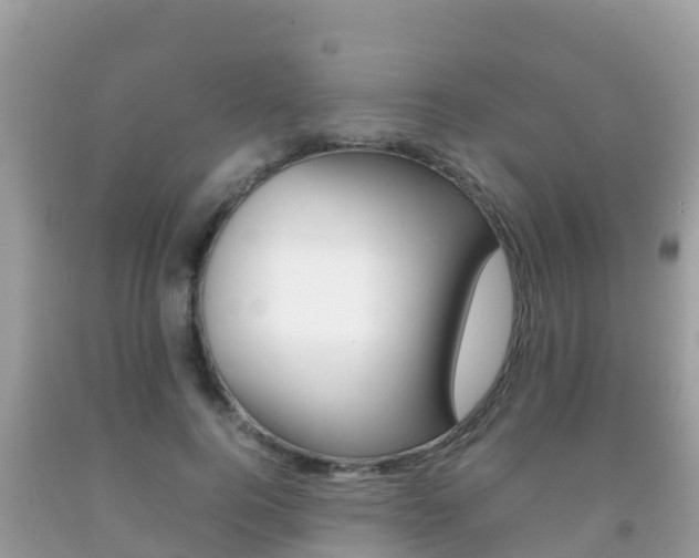 X0000092220744200709140921
