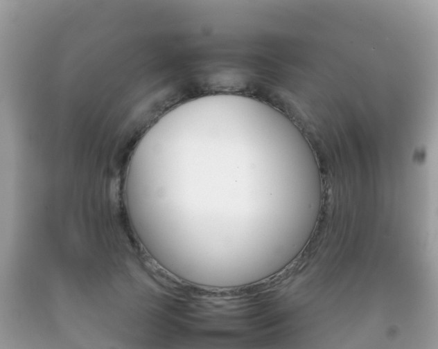 X0000092220745200709140921