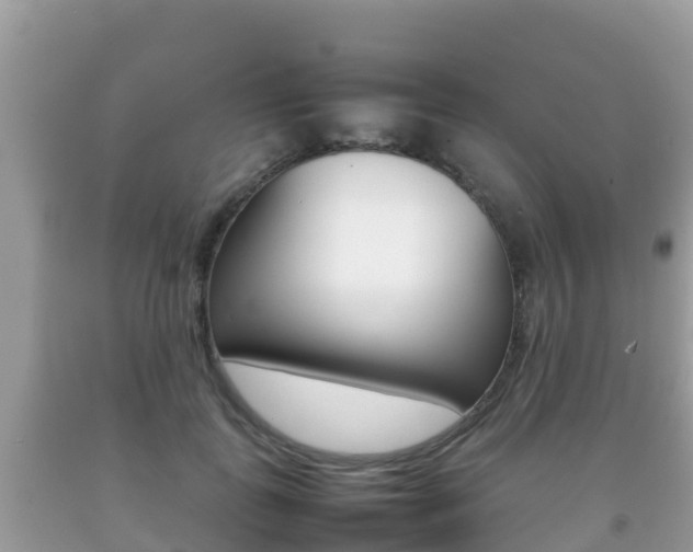 X0000092220747200709140921