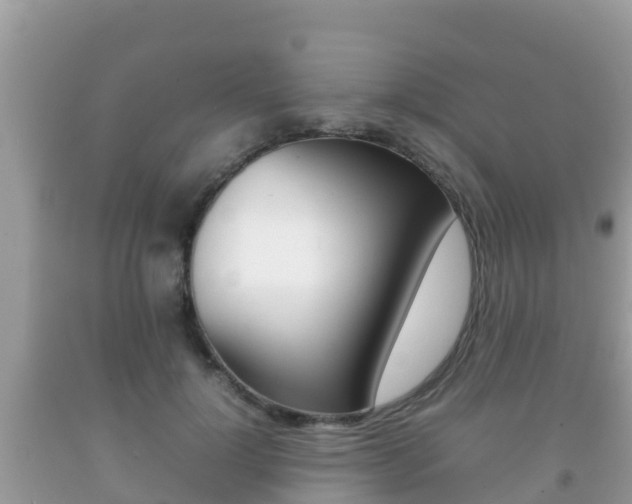 X0000092220748200709140921
