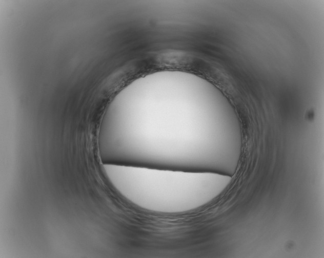 X0000092220749200709140921