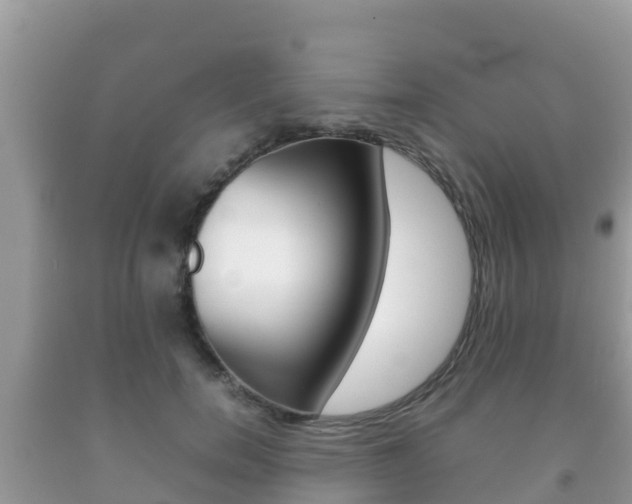 X0000092220750200709140921
