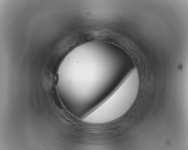 X0000092220752200709140921