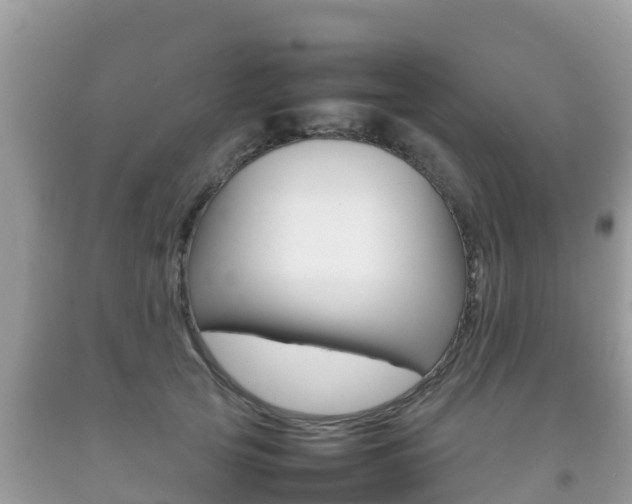 X0000092220753200709140921