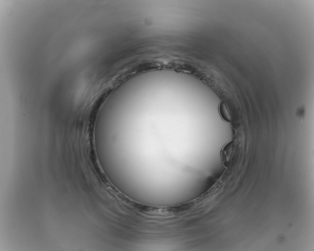 X0000092220754200709140921