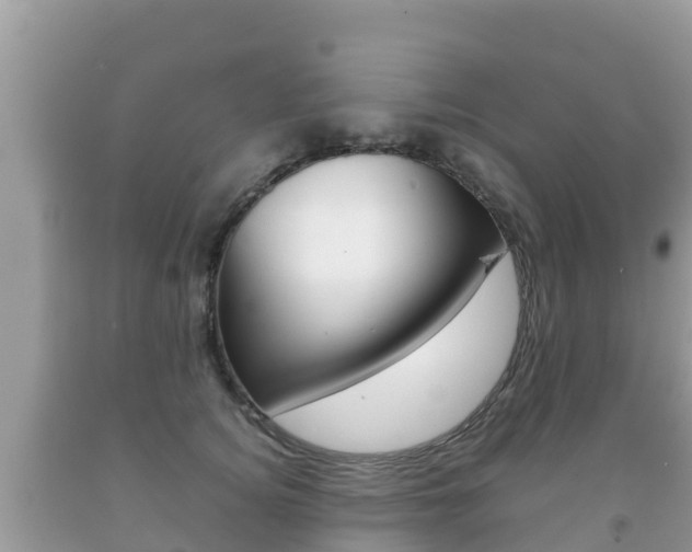 X0000092220756200709140921