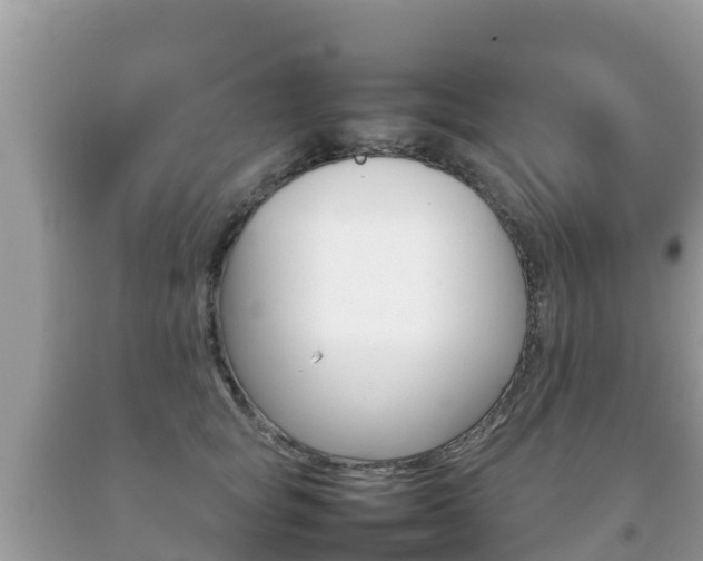 X0000092220757200709140921