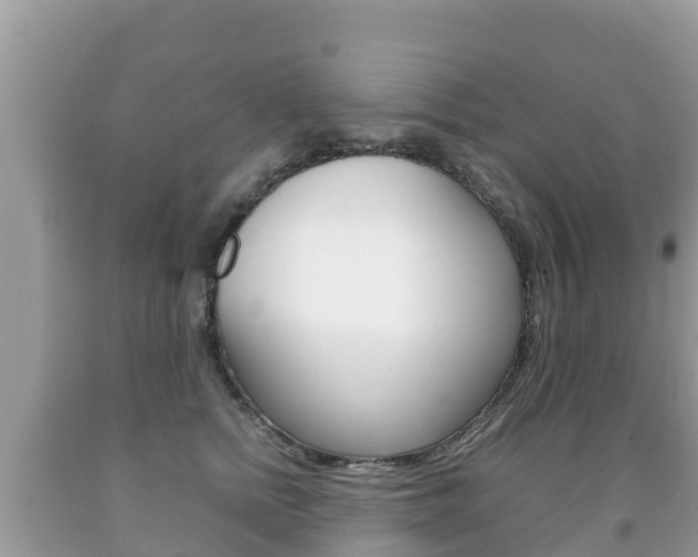 X0000092220758200709140921