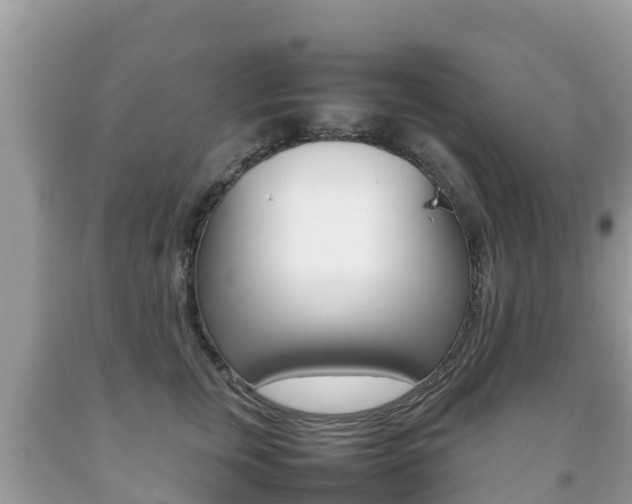 X0000092220759200709140921