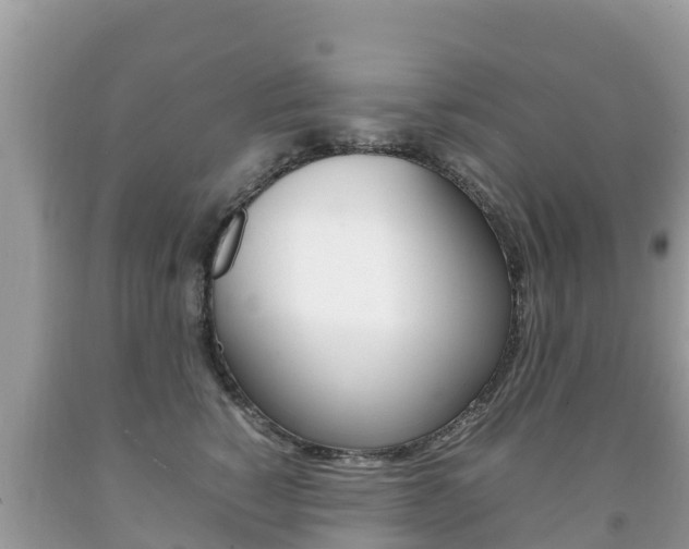 X0000092220760200709140921