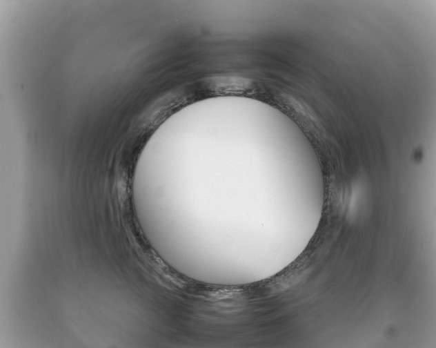 X0000092220761200709140921