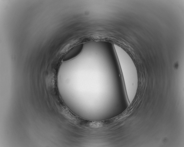 X0000092220762200709140921