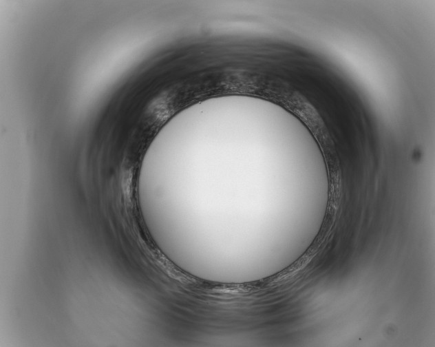 X0000092220765200709140921