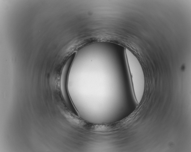 X0000092220766200709140921