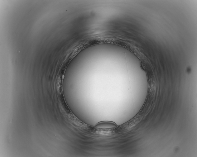 X0000092220767200709140921