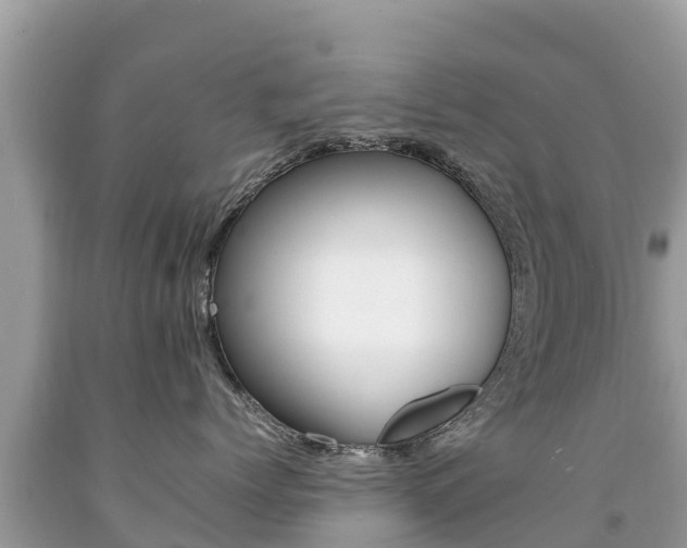 X0000092220768200709140921