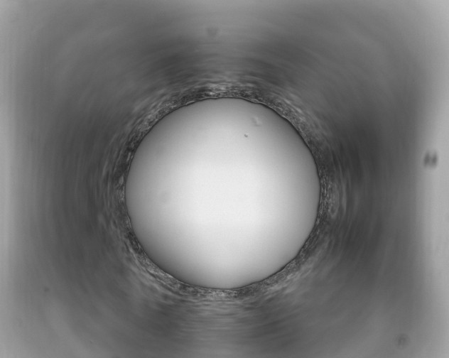 X0000092220770200709140921