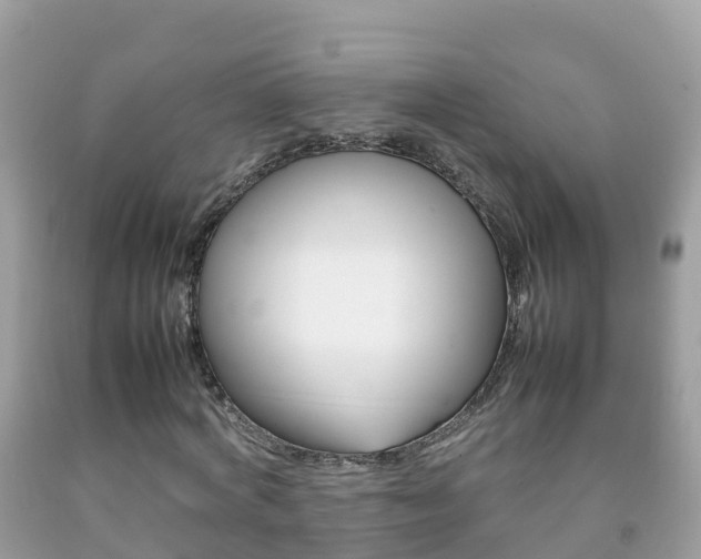 X0000092220772200709140921