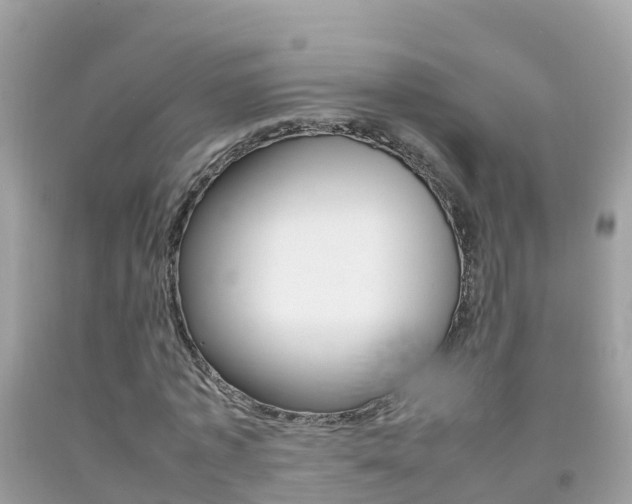 X0000092220773200709140921