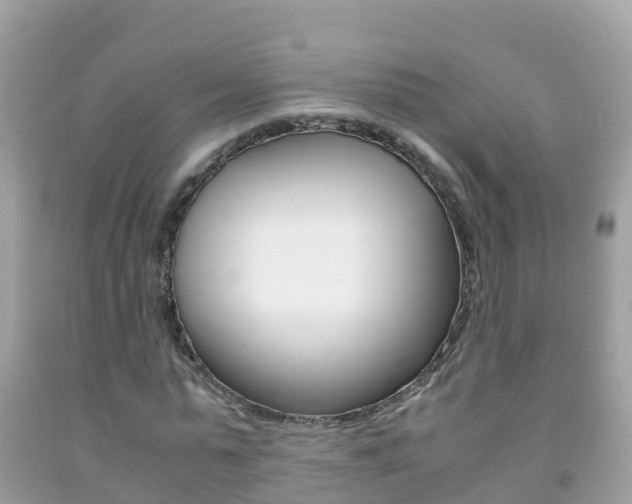 X0000092220775200709140921