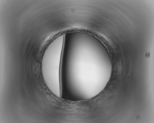 X0000092220776200709140921