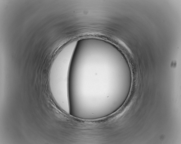 X0000092220777200709140921