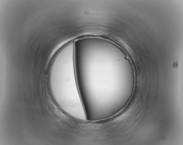 X0000092220779200709140921