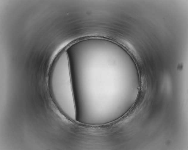X0000092220780200709140921