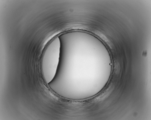 X0000092220782200709140921
