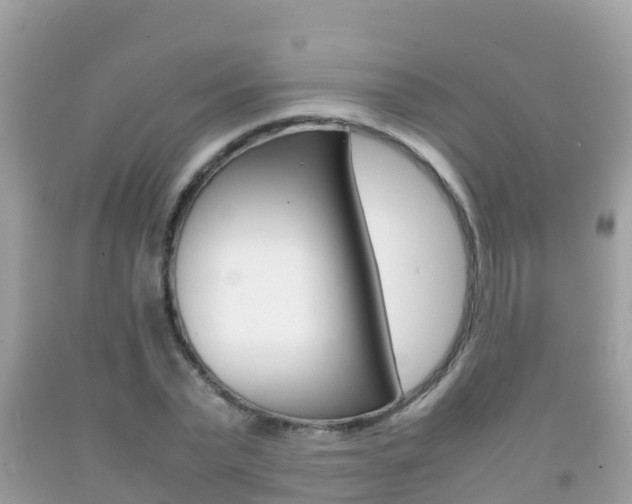X0000092220783200709140921