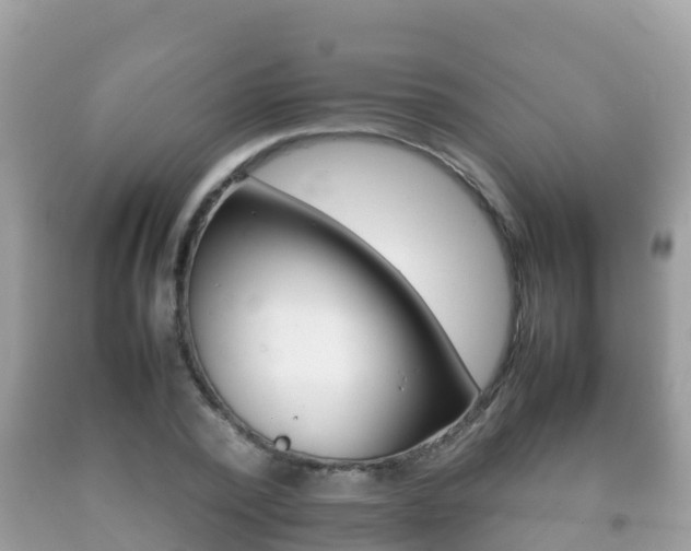 X0000092220784200709140921