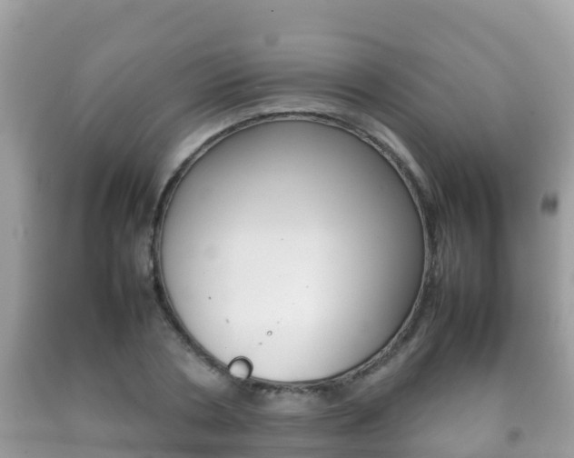 X0000092220786200709140921