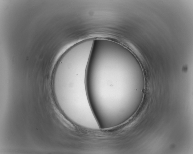 X0000092220787200709140921