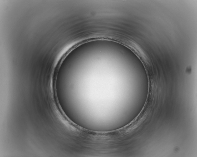X0000092220788200709140921