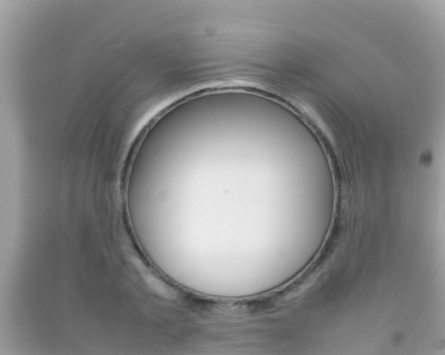 X0000092220789200709140920