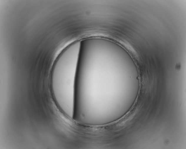 X0000092220790200709140920